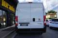 Fiat Ducato 33 2.2 Mjt 140CV L2H2 Furgone KM ZERO Bianco - thumbnail 5