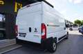 Fiat Ducato 33 2.2 Mjt 140CV L2H2 Furgone KM ZERO Bianco - thumbnail 4