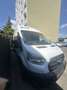 Ford Transit Bus Minibus 2,0 EcoBlue HD L4H3 460 Trend - thumbnail 3