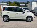Fiat Panda Panda 0.9 t.air t. natural power Easy 85cv Blanc - thumbnail 3
