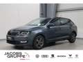 Skoda Rapid/Spaceback Gris - thumbnail 1