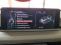 BMW M4 M4 Cabrio DKG Galben - thumbnail 12