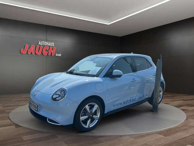 Imagine Ora Funky Cat