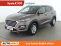 Hyundai TUCSON 1.6 CRDi Run 2WD Braun - thumbnail 1