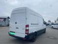 Mercedes-Benz Sprinter 209/211/213/215 CDI (906.611/613) White - thumbnail 9