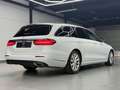 Mercedes-Benz E 220 d NIGHT*KAMERA*WIDESCREEN*APPLE CAR*LEDER Weiß - thumbnail 7