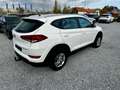 Hyundai TUCSON Tucson blue 1.6 GDi 2WD BENZINE - ESSENCE Blanc - thumbnail 4