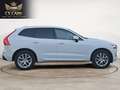 Volvo XC60 D4 Momentum Aut. 190 Weiß - thumbnail 5
