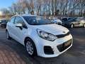 Kia Rio /2.HD/EDITION/KLIMA/ALU/5-TRG/TÜV-SERVICE-NEU Blanc - thumbnail 2