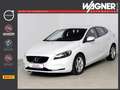 Volvo V40 T2 You *Zahnriemen u. Wapu neu*8-fach Alu Xenon* Blanc - thumbnail 1