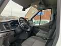 Ford Transit Kasten 350 L4 Trend Weiß - thumbnail 12