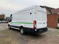 Ford Transit Kasten 350 L4 Trend Weiß - thumbnail 5