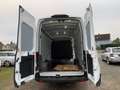 Ford Transit Kasten 350 L4 Trend Weiß - thumbnail 9