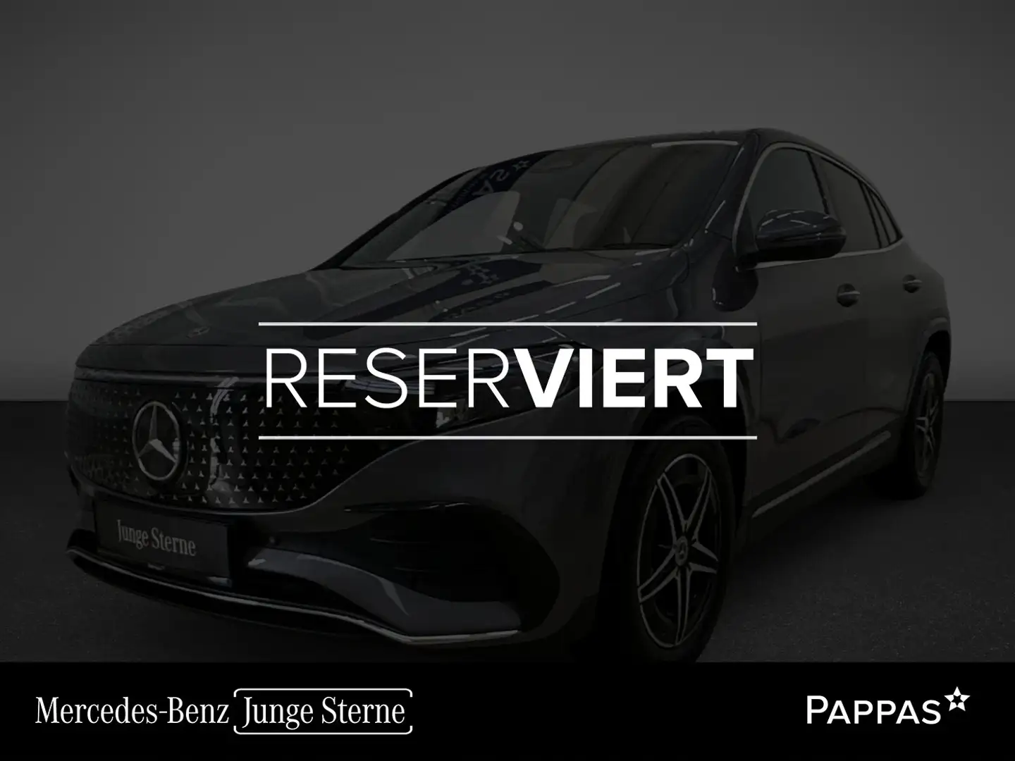 Mercedes-Benz EQA 250 + Österreich-Edition Cam Navi Leder SHZ Grau - 1