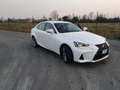 Lexus IS 300 300h 2.5 Luxury cvt Bianco - thumbnail 6
