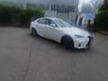 Lexus IS 300 300h 2.5 Luxury cvt Blanco - thumbnail 12