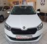Skoda Fabia 1.0 TSI Cool Plus Sitzheizung DAB PDC Blanco - thumbnail 5