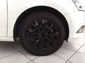 Skoda Fabia 1.0 TSI Cool Plus Sitzheizung DAB PDC Blanco - thumbnail 13