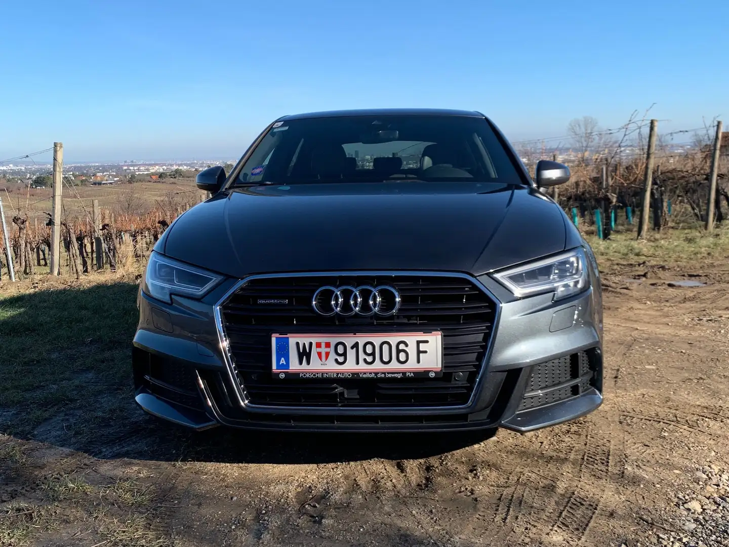 Audi A3 A3 SB 2,0 TFSI quattro sport S-tronic sport Grau - 1