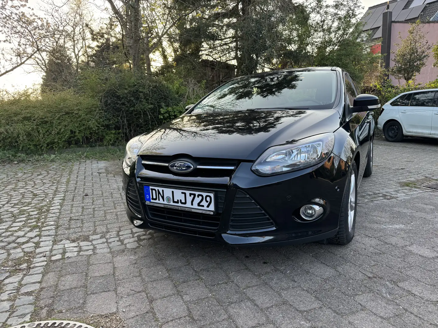 Ford Focus Champions Edition - 1