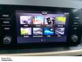 Skoda Kamiq Style 1.0 TSI LED Parkpilot Sitzheizung Blau - thumbnail 14
