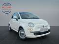 Fiat 500 Panorama-Dach Fin. ab 80€ mtl Wit - thumbnail 1