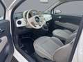 Fiat 500 Panorama-Dach Fin. ab 80€ mtl Wit - thumbnail 9