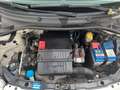 Fiat 500 Panorama-Dach Fin. ab 80€ mtl Wit - thumbnail 18