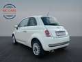 Fiat 500 Panorama-Dach Fin. ab 80€ mtl Wit - thumbnail 2