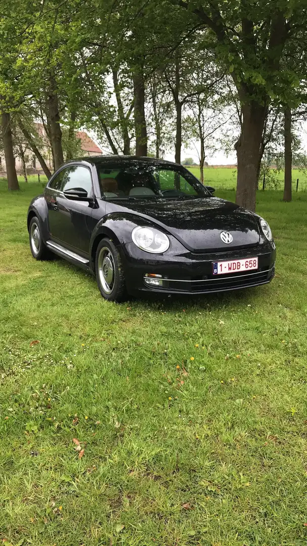 Volkswagen Beetle The Beetle Cabriolet 1.2 TSI DSG CUP - 1