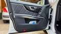 Mercedes-Benz GLK 250 GLK 250 BlueTec 4MATIC Aut. Weiß - thumbnail 15