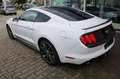 Ford Mustang 2.3 EcoBoost Fastback 19Zoll LED ACC Kamera  Autom Weiß - thumbnail 8