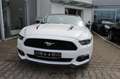 Ford Mustang 2.3 EcoBoost Fastback 19Zoll LED ACC Kamera  Autom Blanc - thumbnail 4