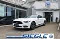 Ford Mustang 2.3 EcoBoost Fastback 19Zoll LED ACC Kamera  Autom Weiß - thumbnail 1
