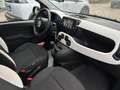 Fiat Panda Pandina Cross 1.0 firefly hybrid 70CV Grün - thumbnail 6