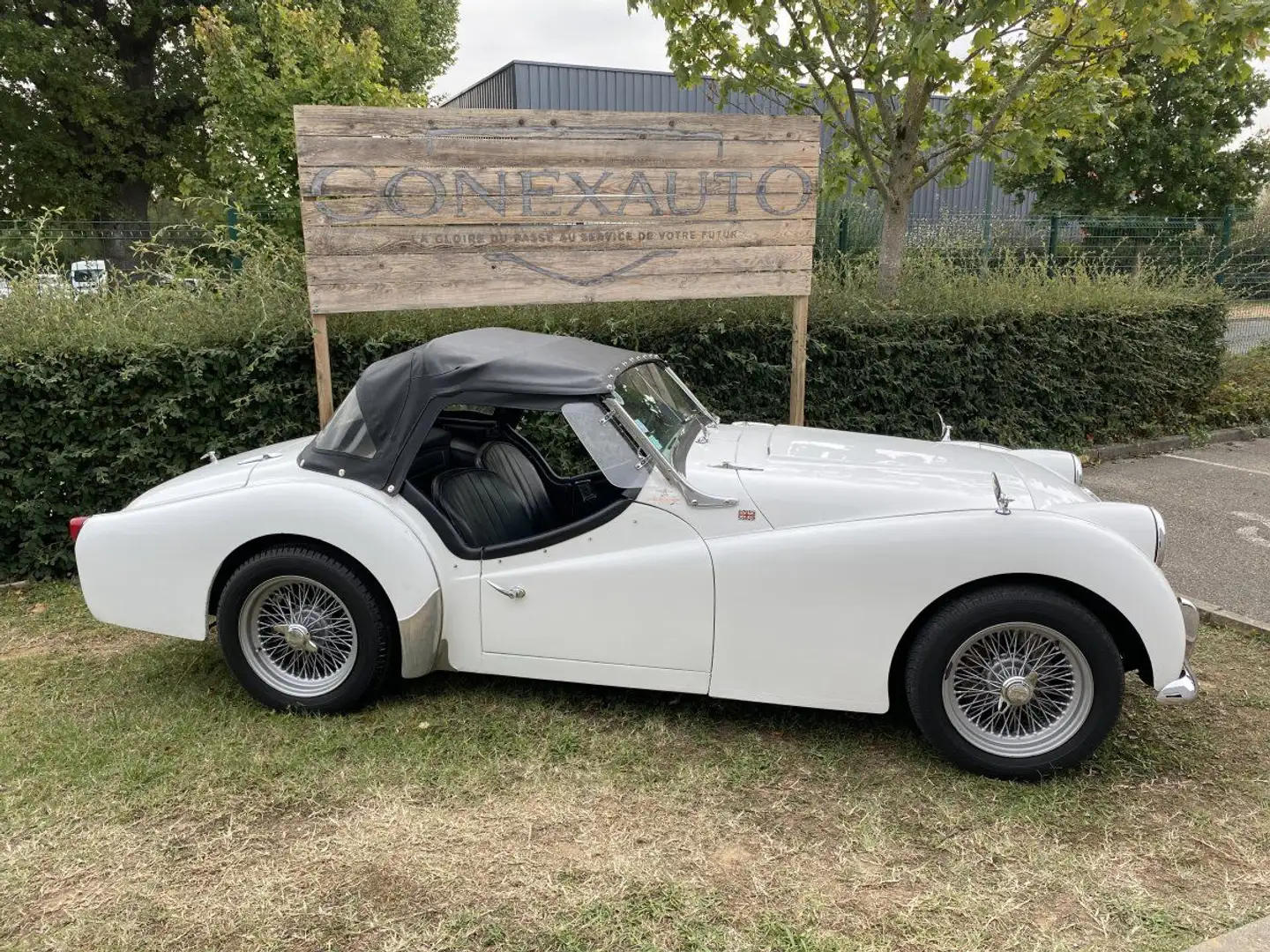 Triumph TR3 1959 Alb - 2