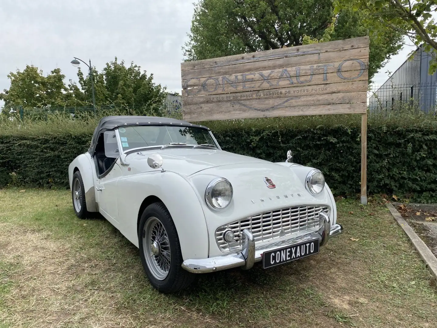 Triumph TR3 1959 Alb - 1
