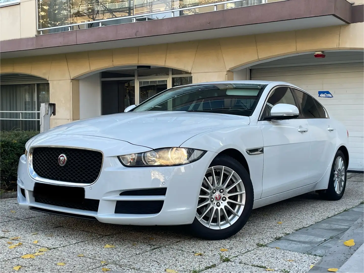 Jaguar XE XE 2.0 D E-Performance Prestige Weiß - 1