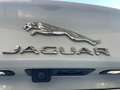 Jaguar XE XE 2.0 D E-Performance Prestige Weiß - thumbnail 23