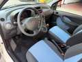 Fiat Panda 1.2 Dynamic Natural Power Weiß - thumbnail 8