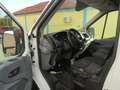 Ford Transit 2.2 TDCI TÜV 04/27;ROSTFREI;HOCH/LANG Weiß - thumbnail 10