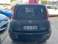 Fiat Panda Panda III 2021 Cross 1.0 firefly hybrid City Cross Grigio - thumbnail 5