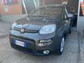 Fiat Panda Panda III 2021 Cross 1.0 firefly hybrid City Cross Grigio - thumbnail 3