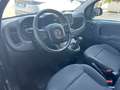 Fiat Panda Panda III 2021 Cross 1.0 firefly hybrid City Cross Grigio - thumbnail 8