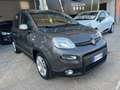 Fiat Panda Panda III 2021 Cross 1.0 firefly hybrid City Cross Grigio - thumbnail 1