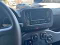 Fiat Panda Panda III 2021 Cross 1.0 firefly hybrid City Cross Grigio - thumbnail 10