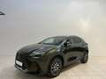 Lexus NX 450h+ Executive-Line Grün - thumbnail 23