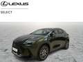 Lexus NX 450h+ Executive-Line Verde - thumbnail 1