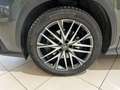 Lexus NX 450h+ Executive-Line Grün - thumbnail 21