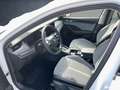 Skoda Octavia Combi 1.5 eTSI DSG Selection Navi AHK Pa Weiß - thumbnail 10